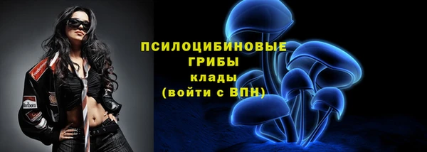 герыч Лиски