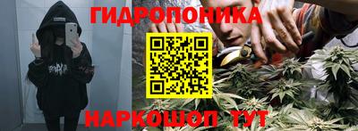 наркотики Заводоуковск