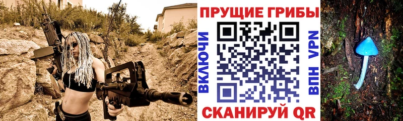 Галлюциногенные грибы Psilocybine cubensis  Петрозаводск 