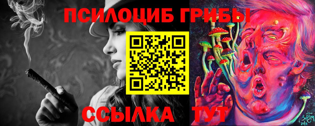 Псилоцибиновые грибы Cubensis Петрозаводск